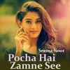 Pocha Hai Zamne See