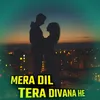 About Mera Dil Tera Divana He Song