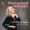 About Le Nozze di Figaro, K 492: Ouverture Song