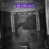 About Vices Song