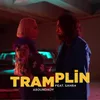 Tramplin
