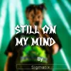 About Still On My Mind Song