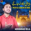 About Peer Ali Sarkar Di Janje Song