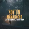 About Soy Un Mamarracho Song