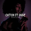 About Catch It Dude Song