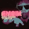 About James Brown Song