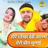 About Heere Dhokha Deke Challi Meri Preet Bhulai Song