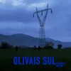Olivais Sul