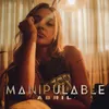 About MANIPULABLE Song