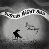 Dublin Night Bird