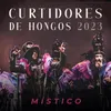 Canción Final 2023