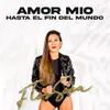 About Amor Mío / Hasta El Fin del Mundo Song