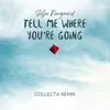 About Tell Me Where You're Going Song