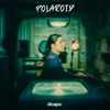 About Polaroid Song