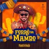 About Forró Da Mambo Song