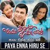 About Paya Enna Hiru se Song