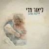 About קצת משוגע Song