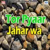 Tor Pyaar Jahar Wa