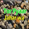 Tu Sasura Jayebu N