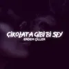 About Çikolata Gibi Bişey Song