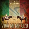 About Viva Mi México Song