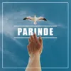 About PARINDE Song