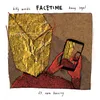 About FaceTime Song