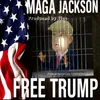 About Free Trump Song