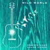 About Wild World Song