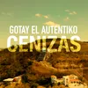 About Cenizas Song