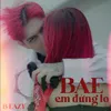About Bae Em Đừng Lo Song