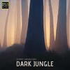 About Dark Jungle Song