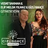 About Gitmeseydin Song