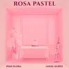 About Rosa Pastel Song