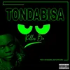 Tondabisa