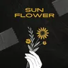 Sun Flower