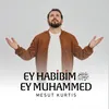 Ey Habibim Ey Muhammed