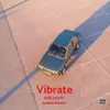 About Vibrate Song