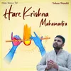 About Hare Krishna Mahamantra Song