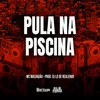 About PULA NA PISCINA Song