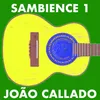 About Sambience 1 Song