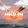 About Hold On Song