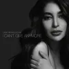 About I Can't Give Anymore Song