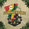 About Summertime Song