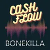 About Cash Flow Song