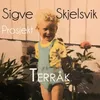 About Terråk Song