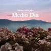 About Medio Día Song
