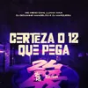 About Certeza o 12 Que Pega Song