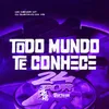 About Todo Mundo Te Conhece Song