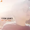 About שיר על ילד Song